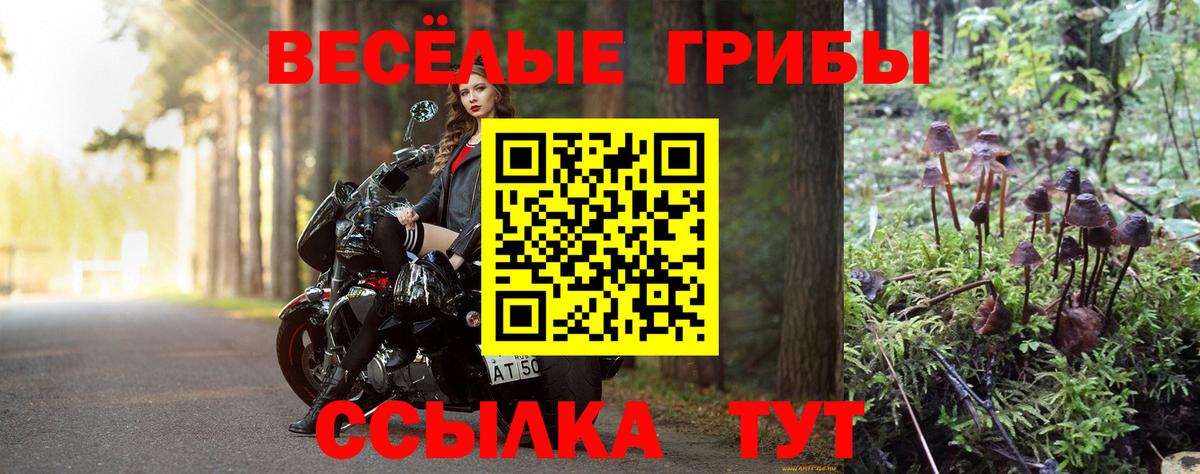 Псилоцибиновые грибы мухоморы Вологда